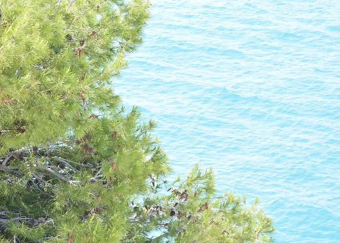 Blancos Rooms Hotel Peñíscola