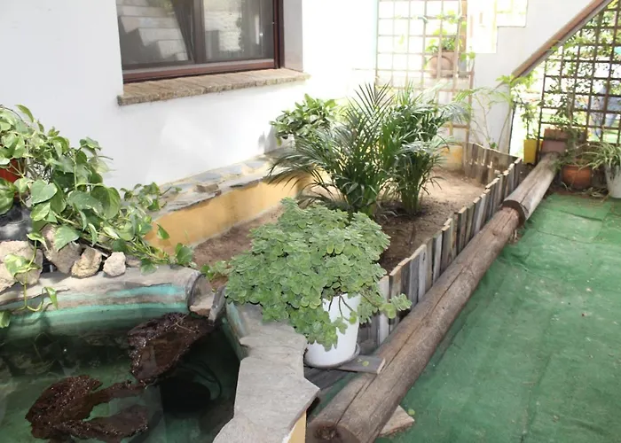 Casa Rural Los Pepe Sancti Petri Chiclana de la Frontera